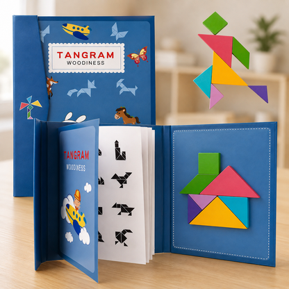 Geomagnético - Brinquedo Educativo